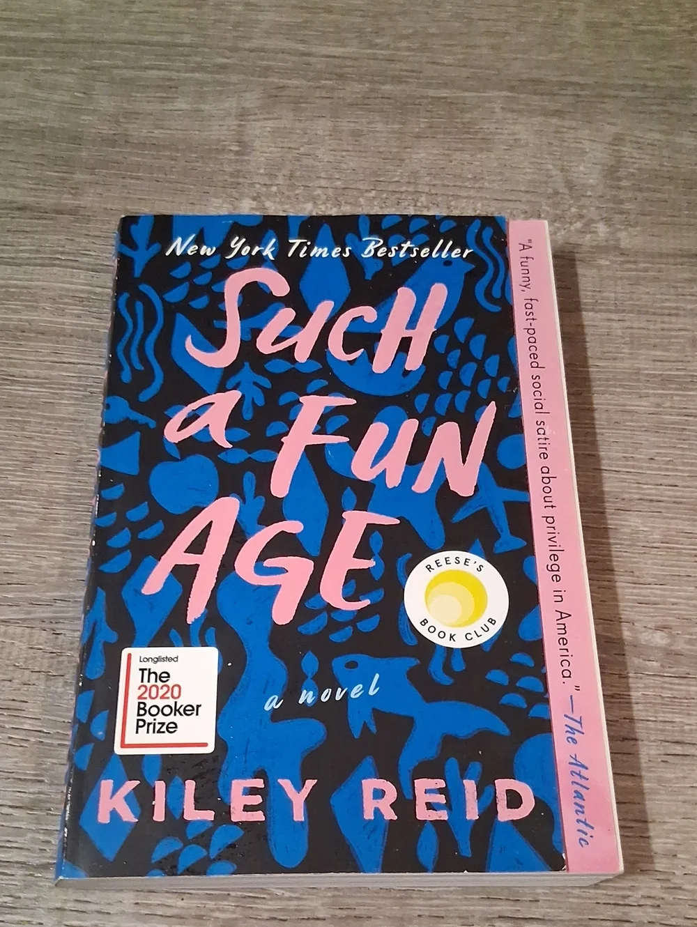 Such a Fun Age by - Blue & Pink Paperback Novel